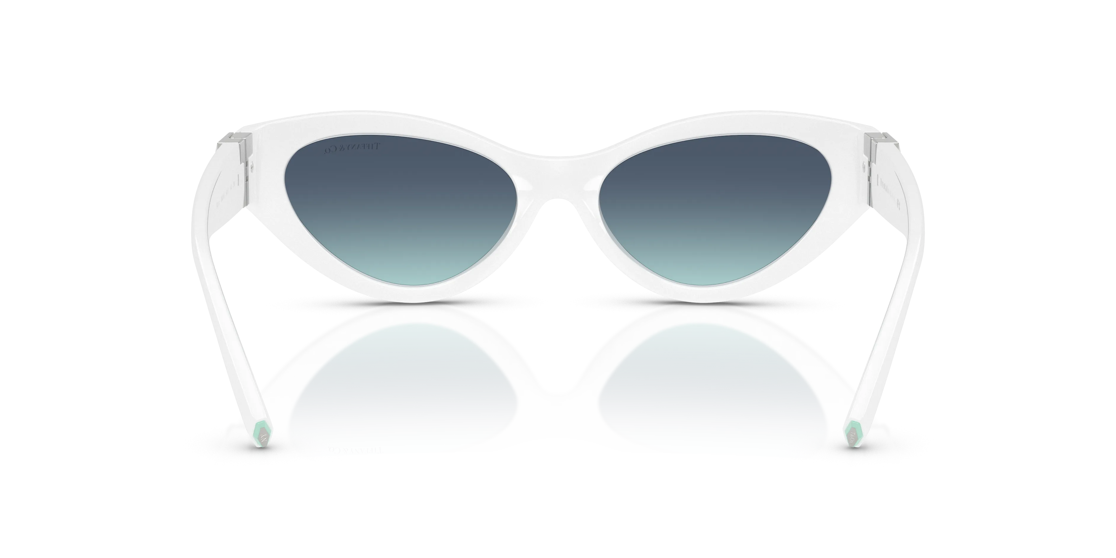 TIFFANY & CO. TF4225U XL (54  17)  WITH BLAUW LENSES AND WIT FRAME